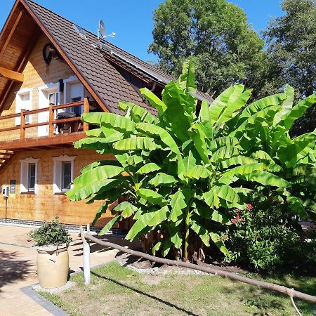 Salus Spreewald - Erholung & Natur - Kolonie  Luaran gambar