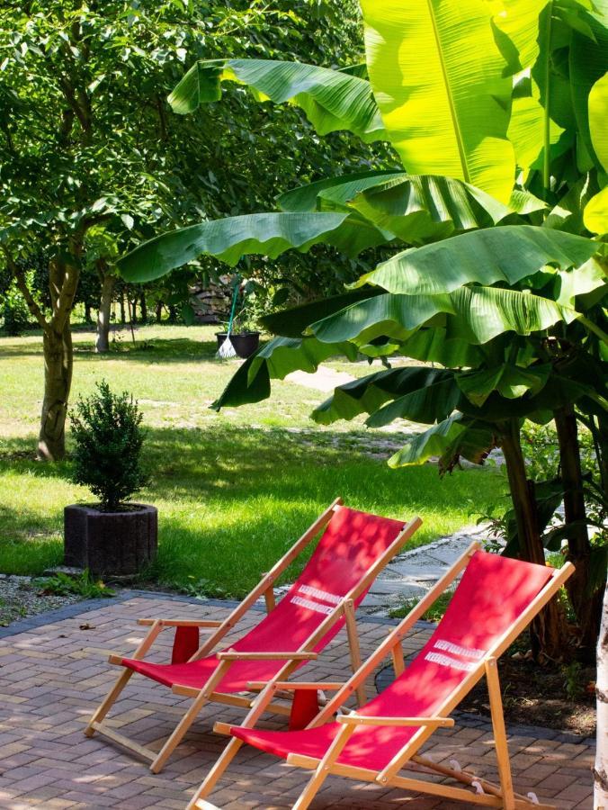 Salus Spreewald - Erholung & Natur - Kolonie  Luaran gambar